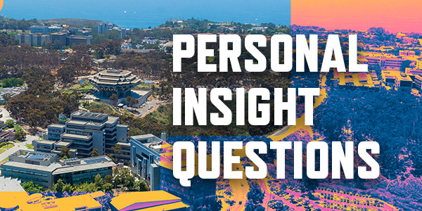 Personal insight questions brochure